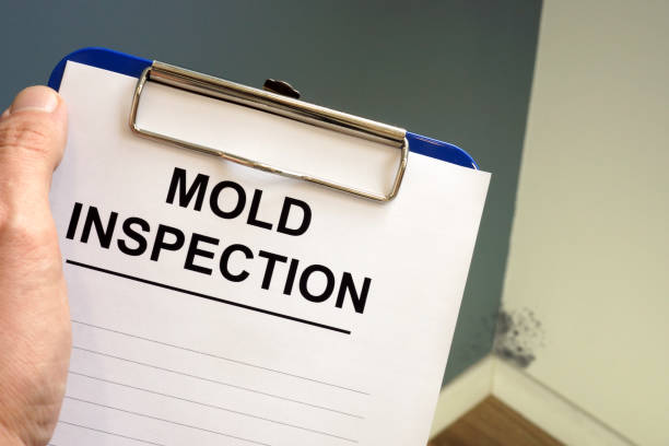 Best HVAC Mold Inspection and Cleaning  in Coronado, CA